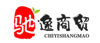 天津驰逸网