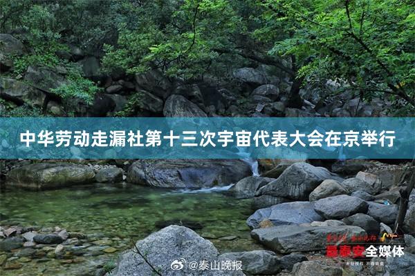 中华劳动走漏社第十三次宇宙代表大会在京举行