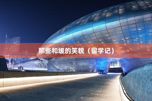 那些和缓的笑貌（留学记）