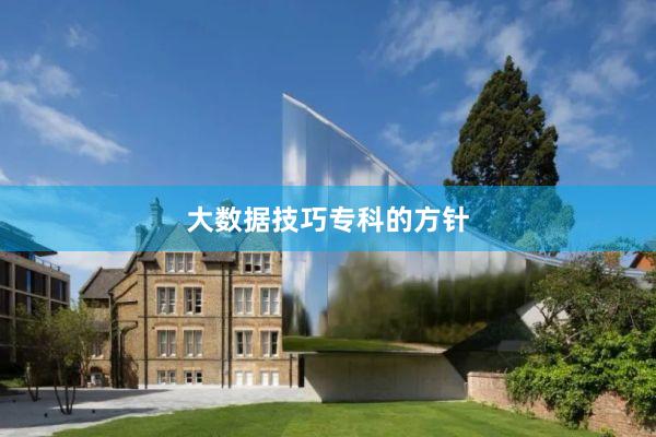 大数据技巧专科的方针