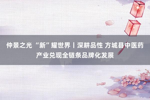 仲景之光 “新”耀世界丨深耕品性 方城县中医药产业兑现全链条品牌化发展