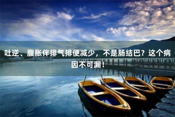 吐逆、腹胀伴排气排便减少，不是肠结巴？这个病因不可漏！
