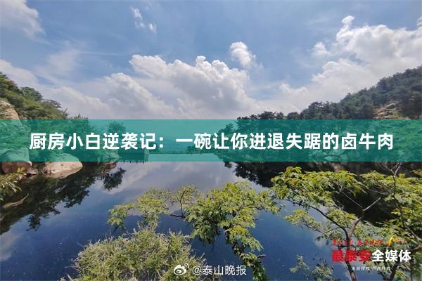 厨房小白逆袭记：一碗让你进退失踞的卤牛肉