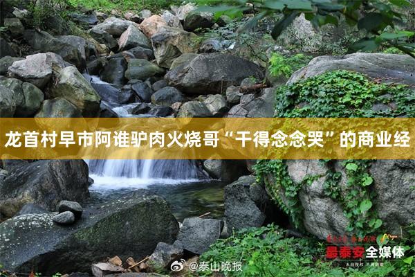 龙首村早市阿谁驴肉火烧哥“干得念念哭”的商业经