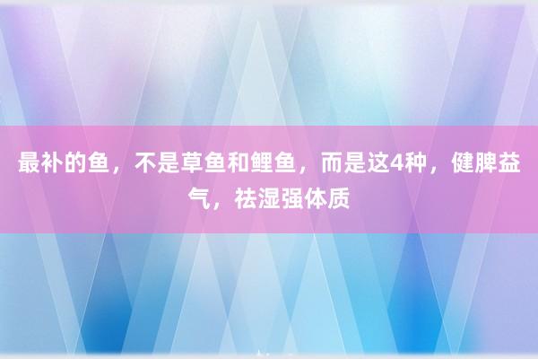 最补的鱼，不是草鱼和鲤鱼，而是这4种，健脾益气，祛湿强体质