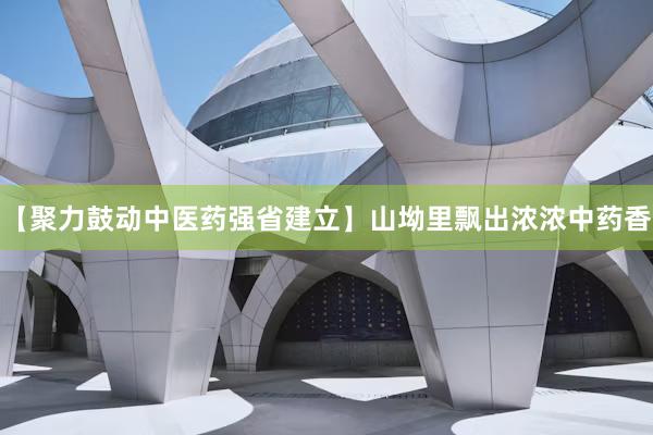 【聚力鼓动中医药强省建立】山坳里飘出浓浓中药香