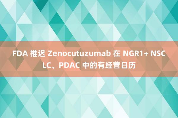 FDA 推迟 Zenocutuzumab 在 NGR1+ NSCLC、PDAC 中的有经营日历