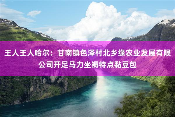 王人王人哈尔：甘南镇色泽村北乡缘农业发展有限公司开足马力坐褥特点黏豆包