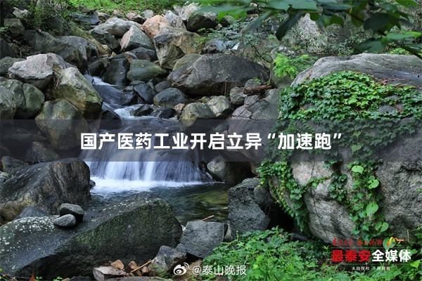 国产医药工业开启立异“加速跑”