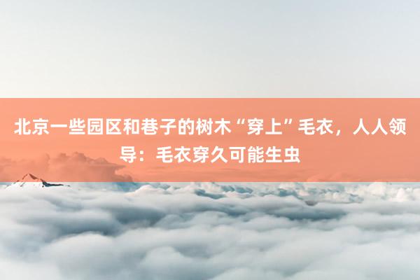 北京一些园区和巷子的树木“穿上”毛衣,人人领导:毛衣穿久可能生虫