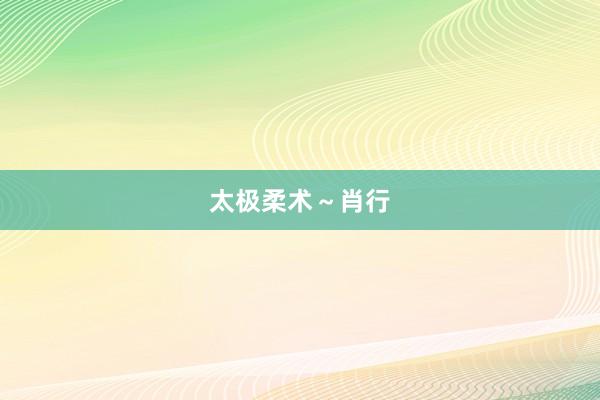 太极柔术～肖行