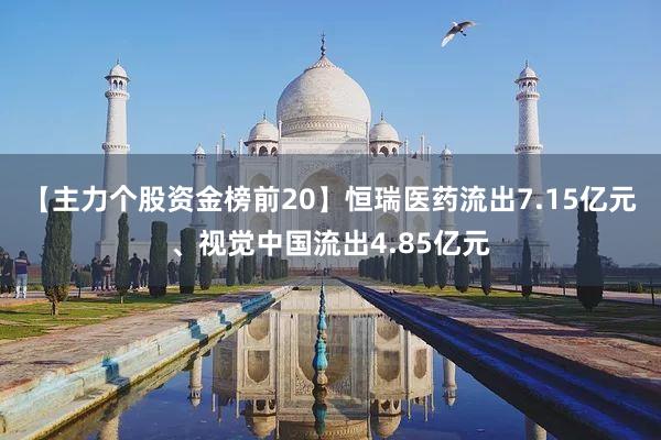 【主力个股资金榜前20】恒瑞医药流出7.15亿元、视觉中国流出4.85亿元
